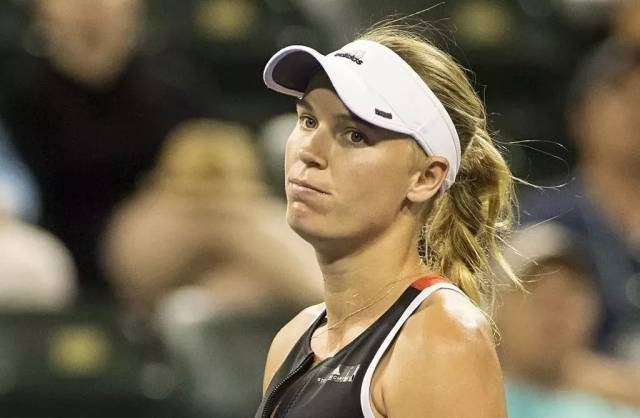 莱万多夫斯 莱万多夫斯