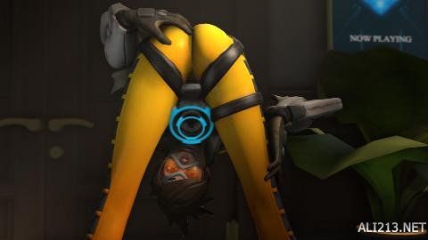 文化执教的 文化执教的