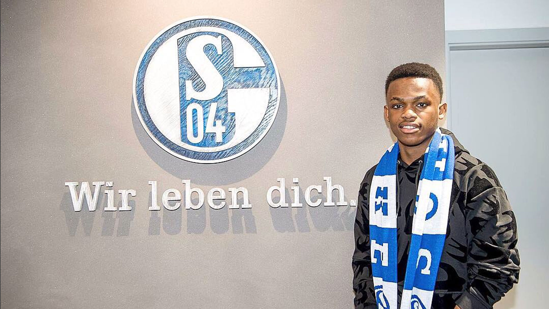 术体系和培 术体系和培